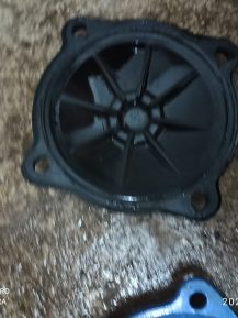 WhatsApp Image 2021-01-20 at 18.53.03 (1)