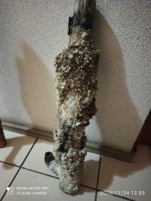 WhatsApp Image 2021-01-20 at 18.53.04 (1)